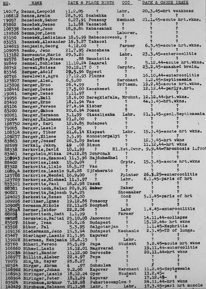02a.jpg (117086 Byte)