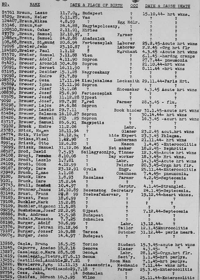 02a.jpg (117086 Byte)