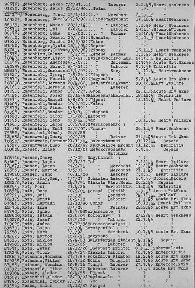 02a.jpg (117086 Byte)