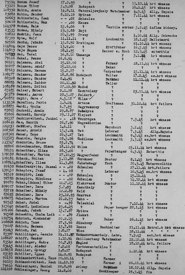 02a.jpg (117086 Byte)