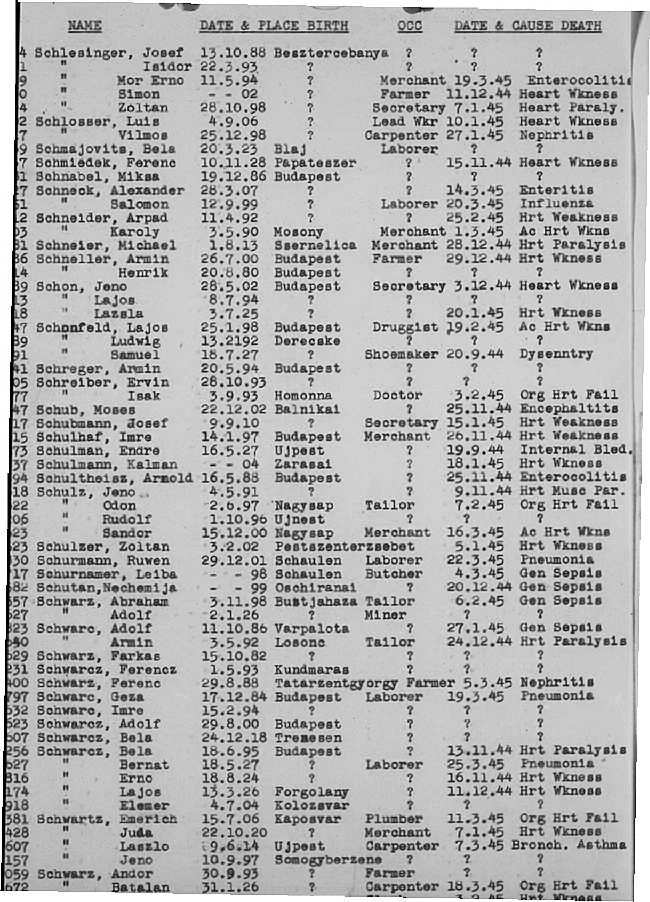 02a.jpg (117086 Byte)