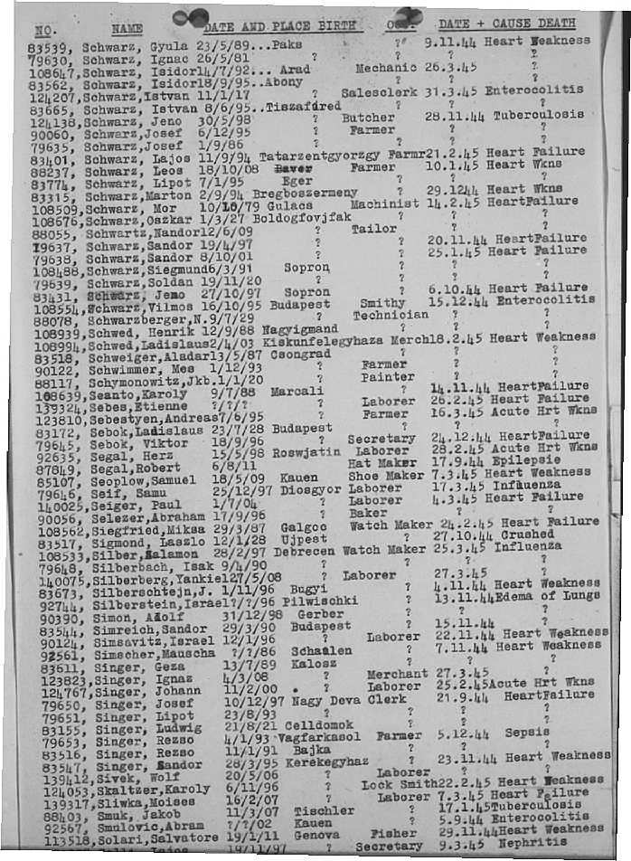 02a.jpg (117086 Byte)