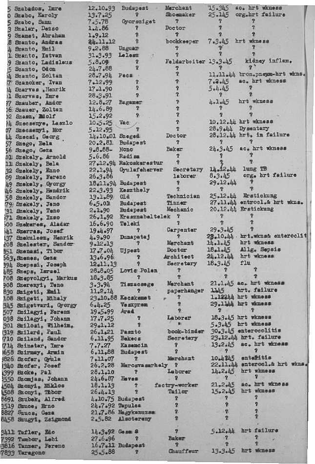 02a.jpg (117086 Byte)