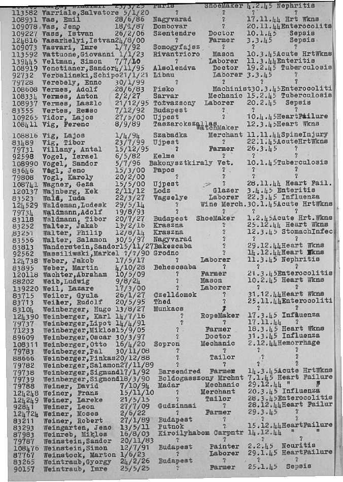 02a.jpg (117086 Byte)