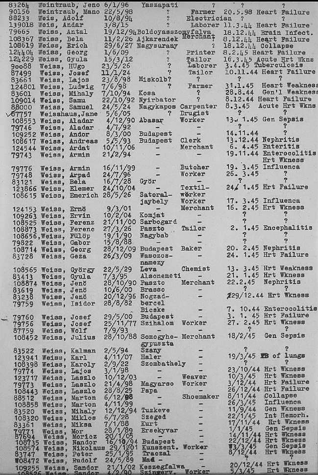 02a.jpg (117086 Byte)