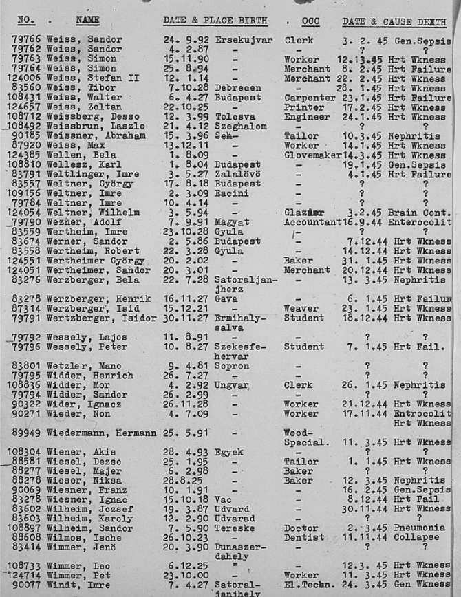 02a.jpg (117086 Byte)