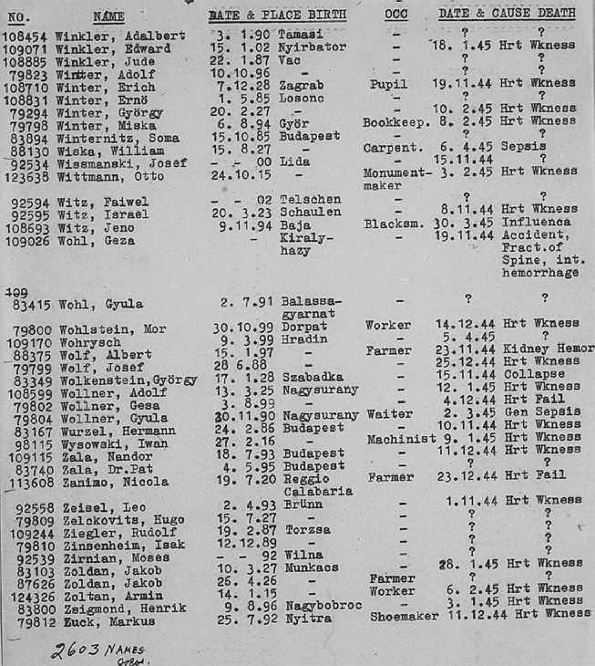 02a.jpg (117086 Byte)